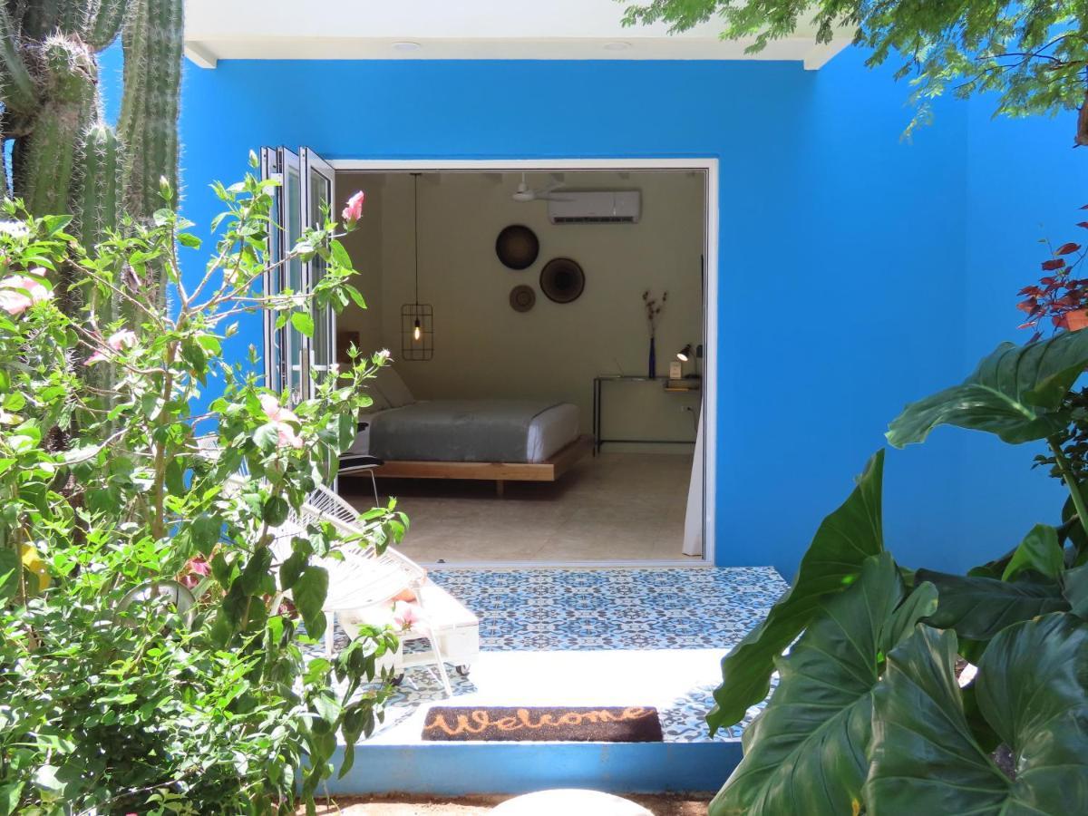Naima Luxury Home, Cottage & Apartment Rentals Paradera Buitenkant foto