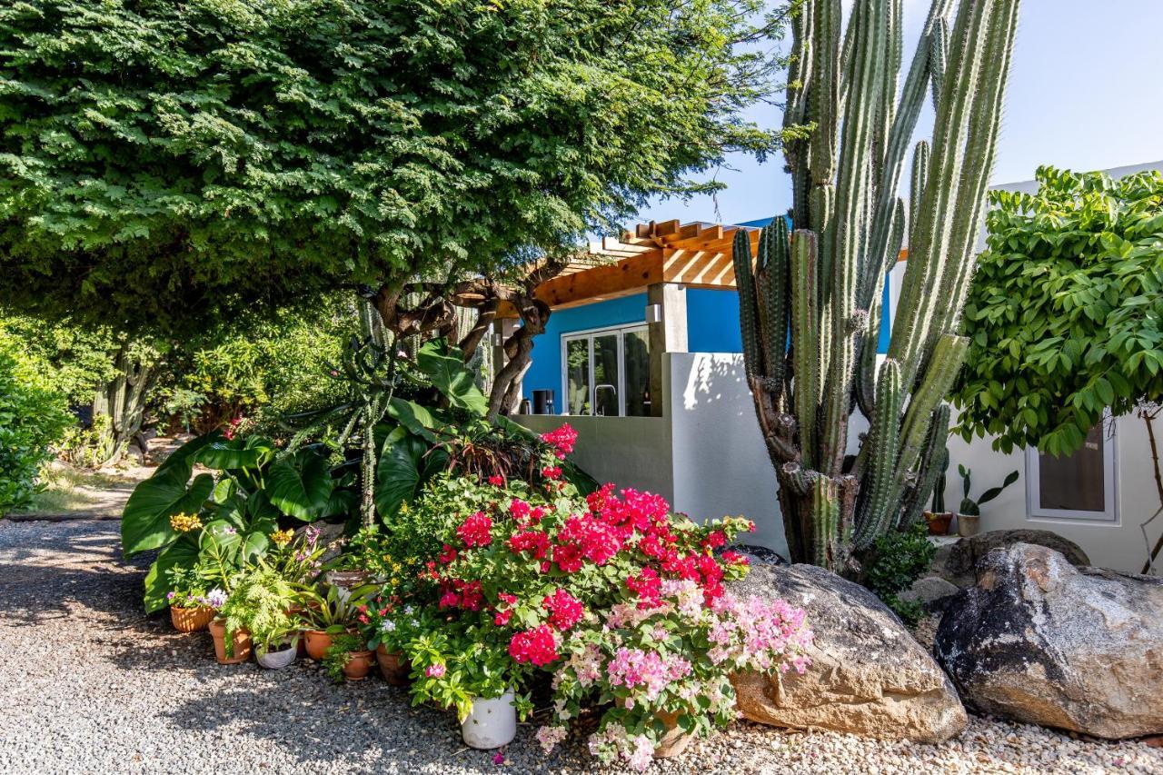 Naima Luxury Home, Cottage & Apartment Rentals Paradera Buitenkant foto