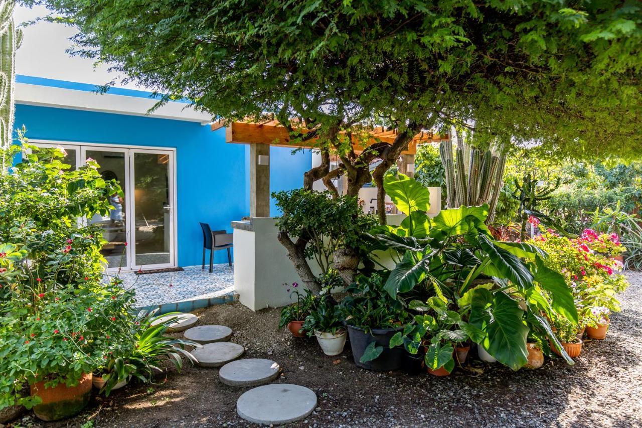 Naima Luxury Home, Cottage & Apartment Rentals Paradera Buitenkant foto